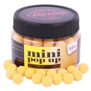 Mini Pop Up